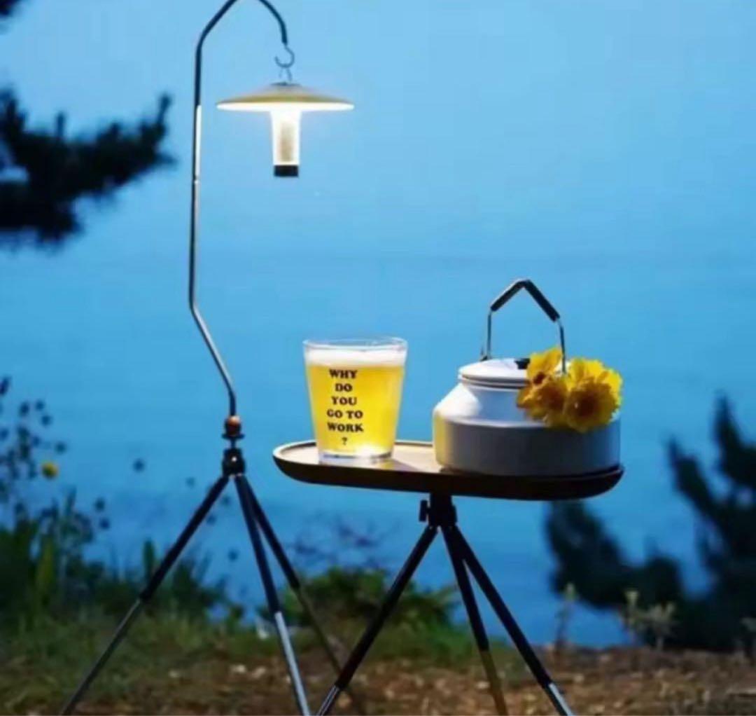 Go al Zero LED microflash ゴー ルゼロUSB充電式