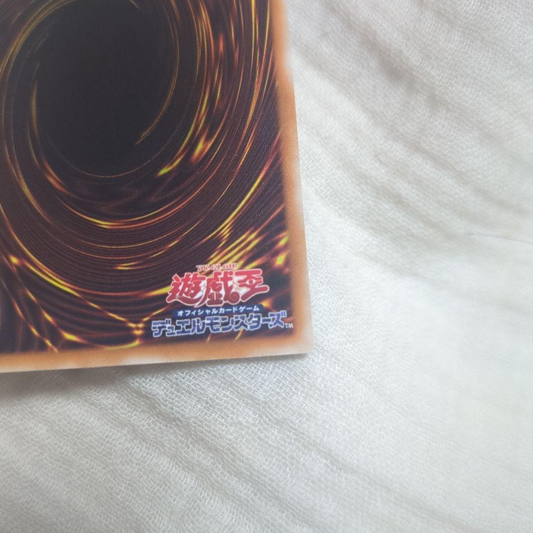 み*こ様 遊戯王ブラックデーモンズドラゴンレリーフ