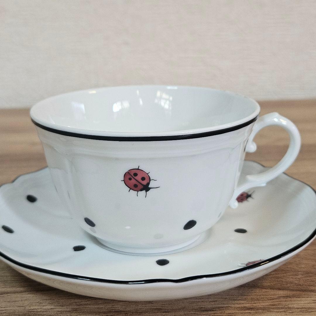 美品 リチャードジノリ Ginori Richard カップ ソーサー