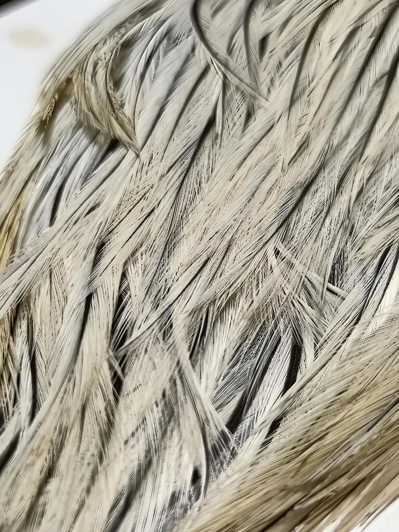 HOFFMAN　DRY FLY HACKLE SUPER CAPE