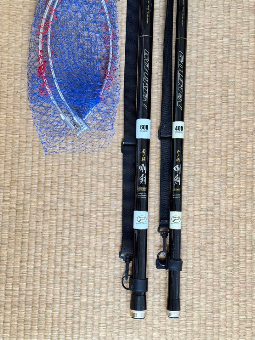 プロックス 磯玉の柄 剛剣2本 玉網付き