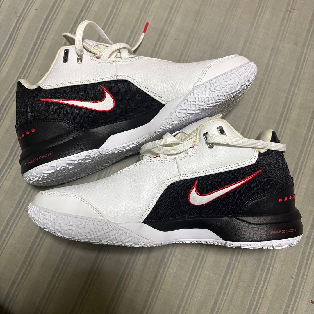 Nike バスケットボールシューズ LEBRON NXXT 29cm