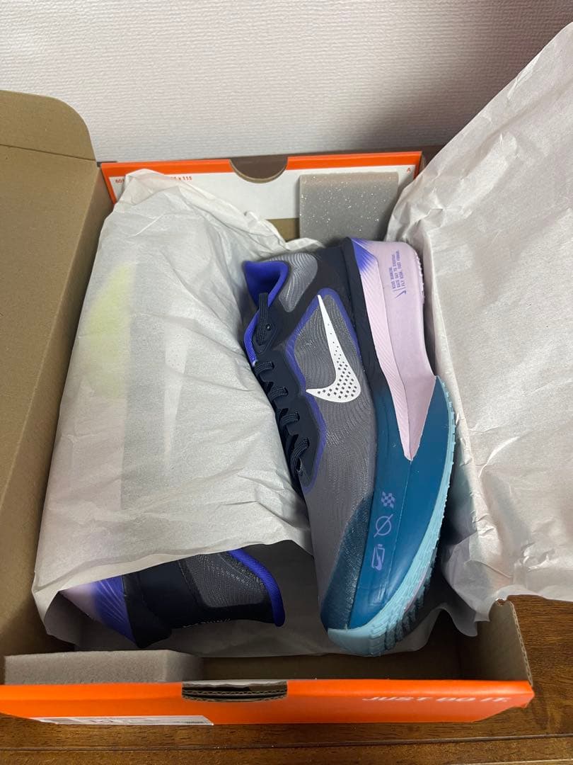 【新品未使用】Nike Zoom Fly 6（28.0）ナイキ ズームフライ6