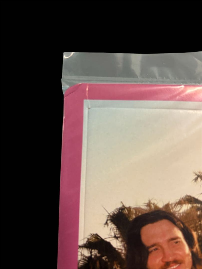 レッチリ By the Way 非売品販促パネル 当時物