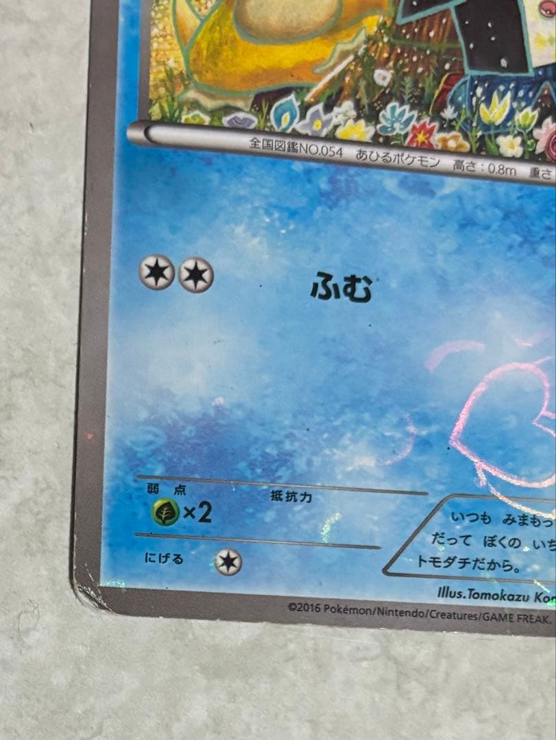 ポケモンカード XY-P コダック ポケキュンコレクション 増田順一 コラボ