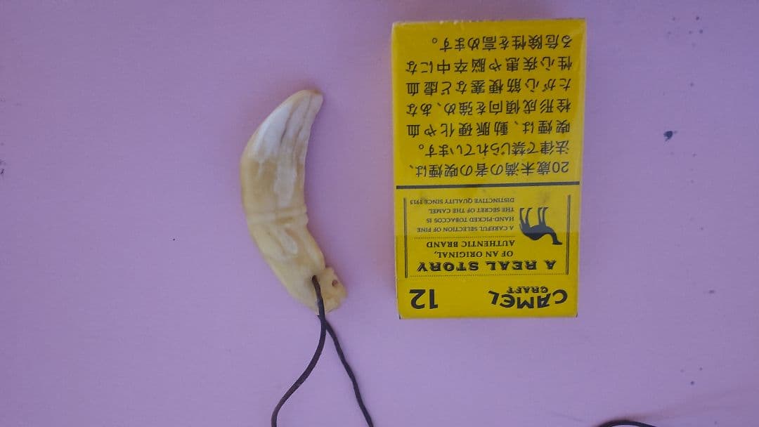 大珍品 動物の牙のネックレス