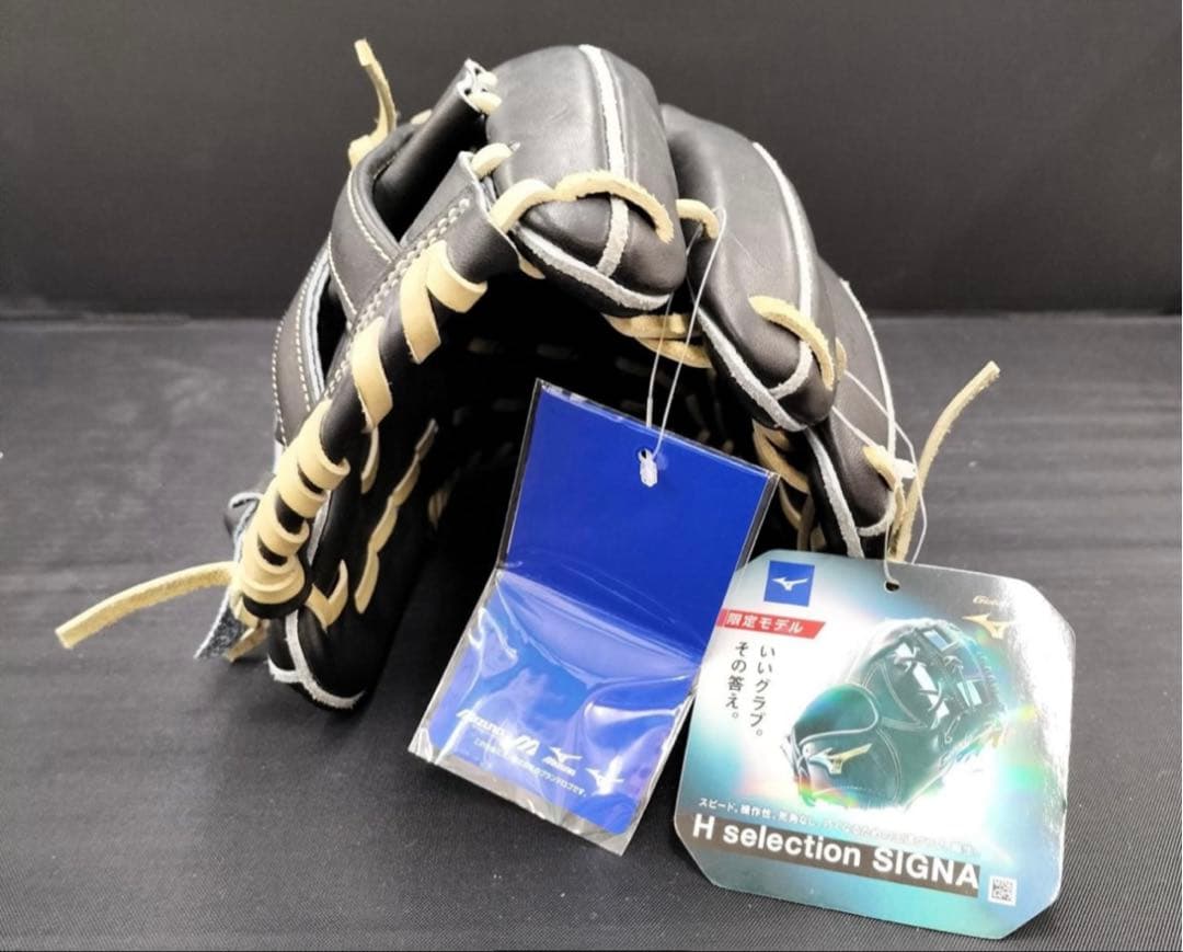 MIZUNO 硬式用グローブ HSELECTION SIGNA α