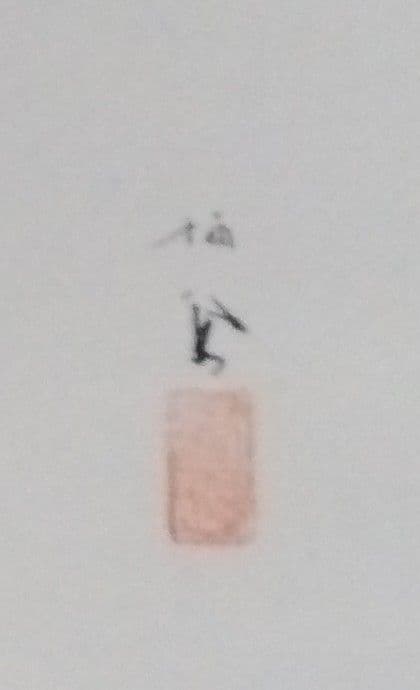 竹内栖鳳「白菊」