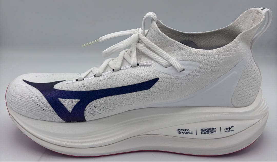 【Used】Mizuno Neo Vista 2 (28cm)
