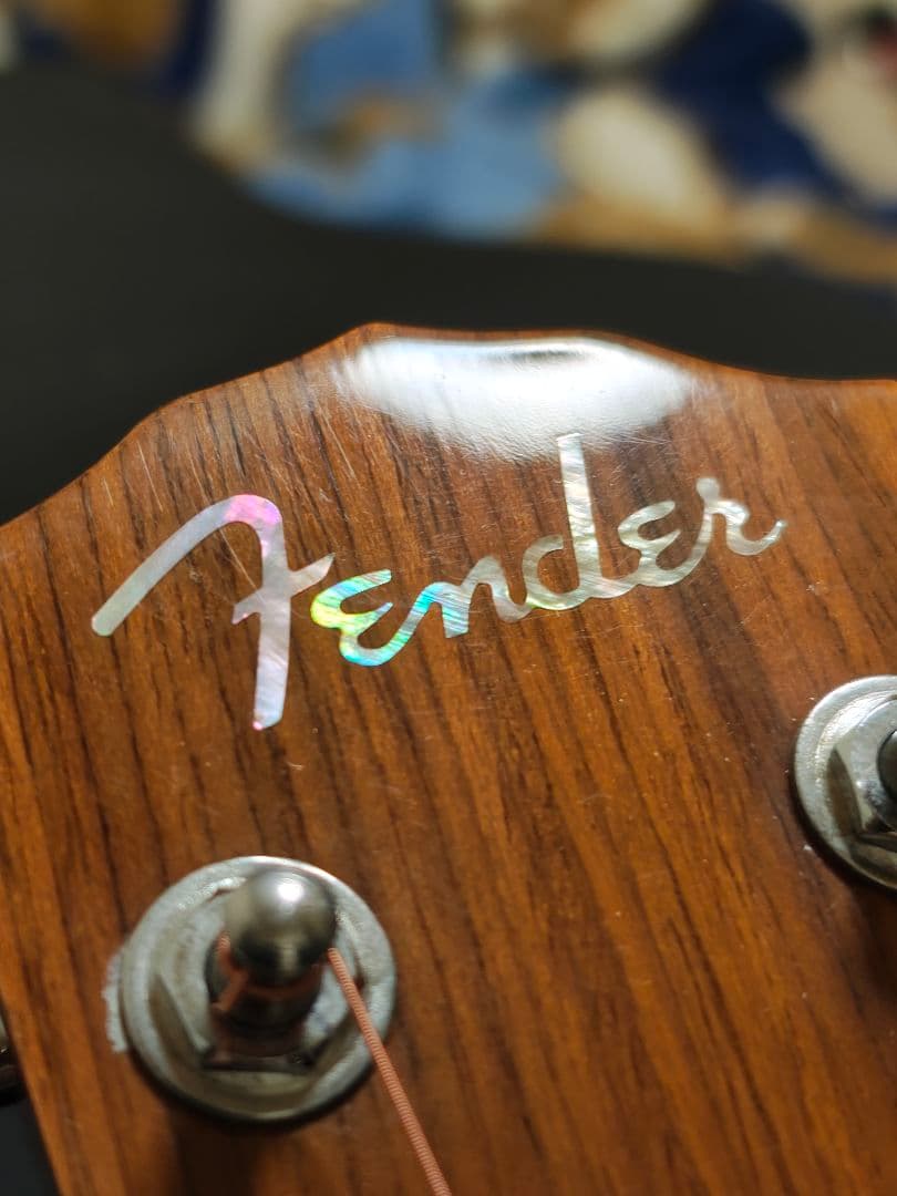 Fender DG20S NATエレアコCustom/ハードケース付