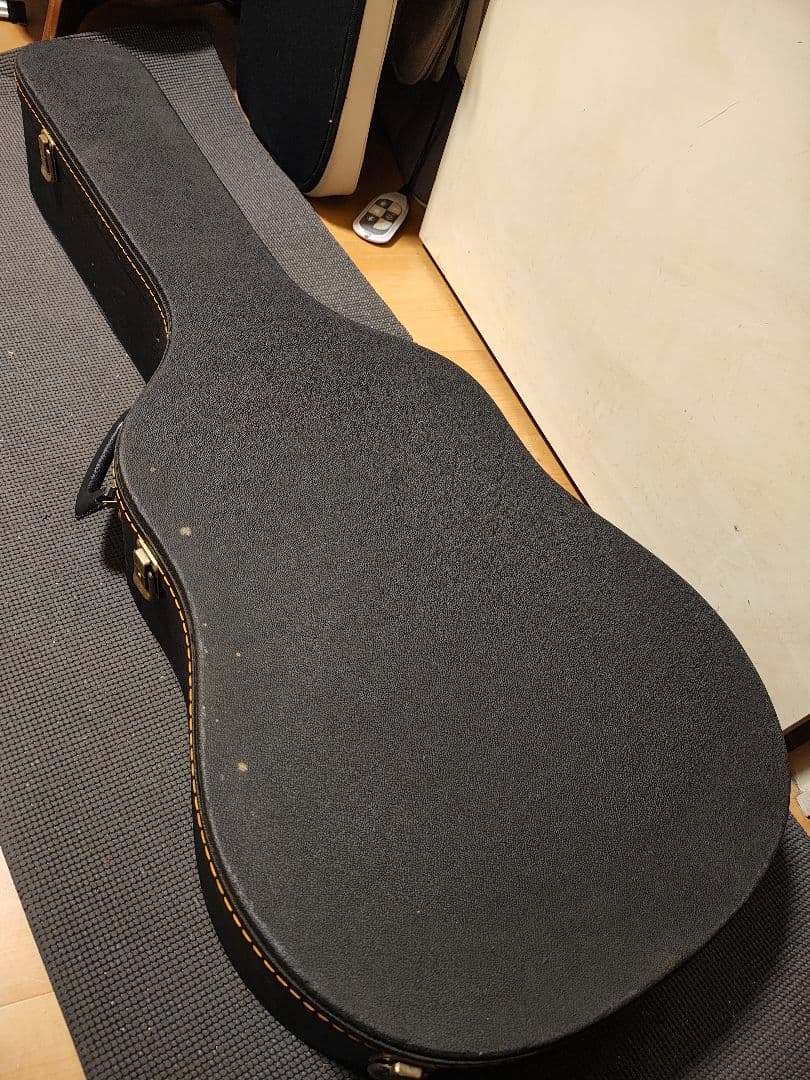 Fender DG20S NATエレアコCustom/ハードケース付