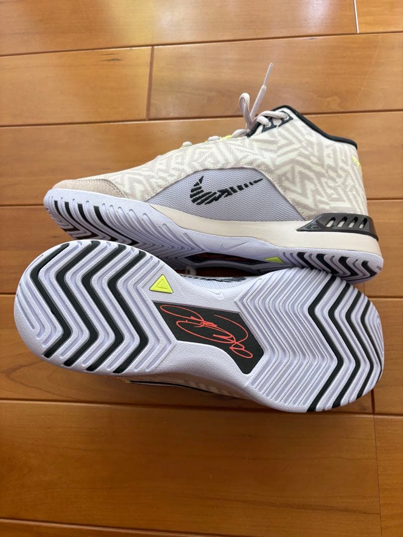 NIKE ナイキ　バッシュ レブロン NXXT ジーニサス　26.0