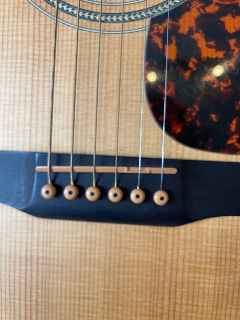 Larrivee D-03 アコースティックギター　ハードケース付