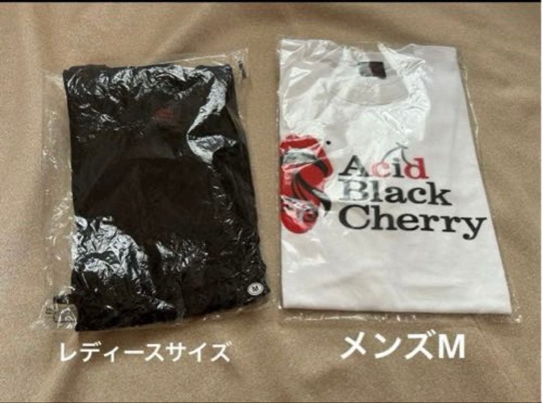 Acid Black Cherry グッズ100点以上まとめ売り