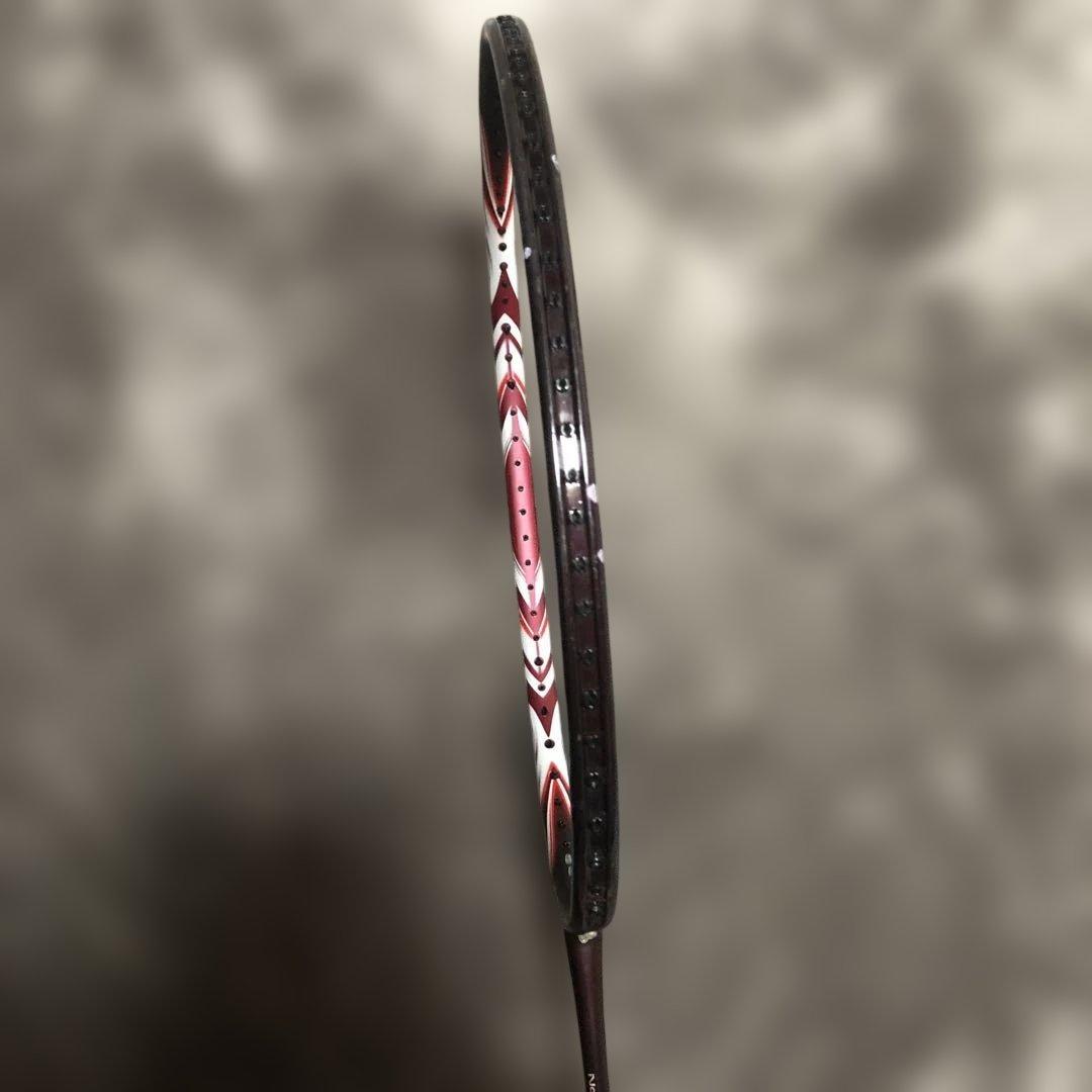 バドミントンアストロクス100ツアー