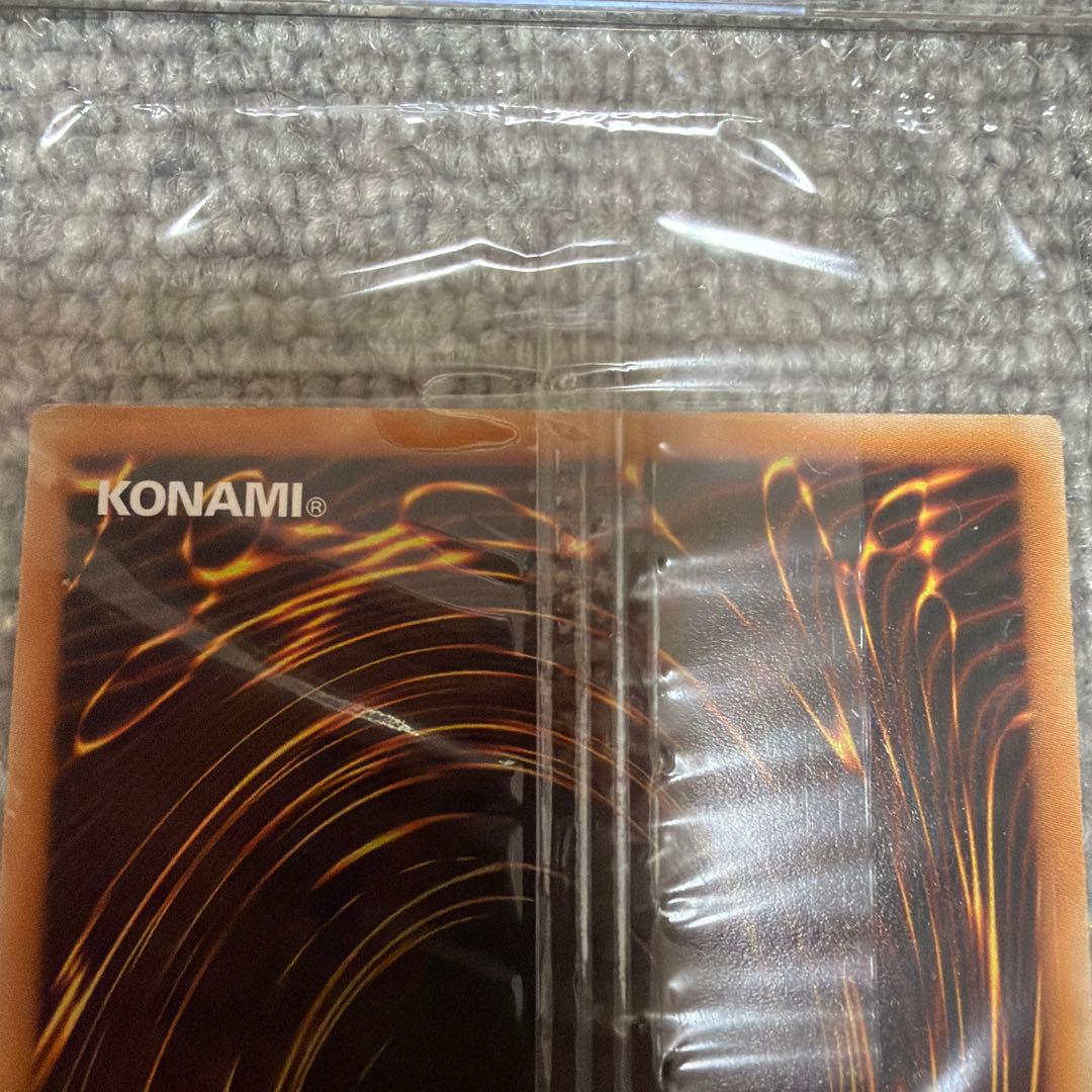 新品 未開封 遊戯王 ガーデン・ローズ・メイデン　ドイツ語
