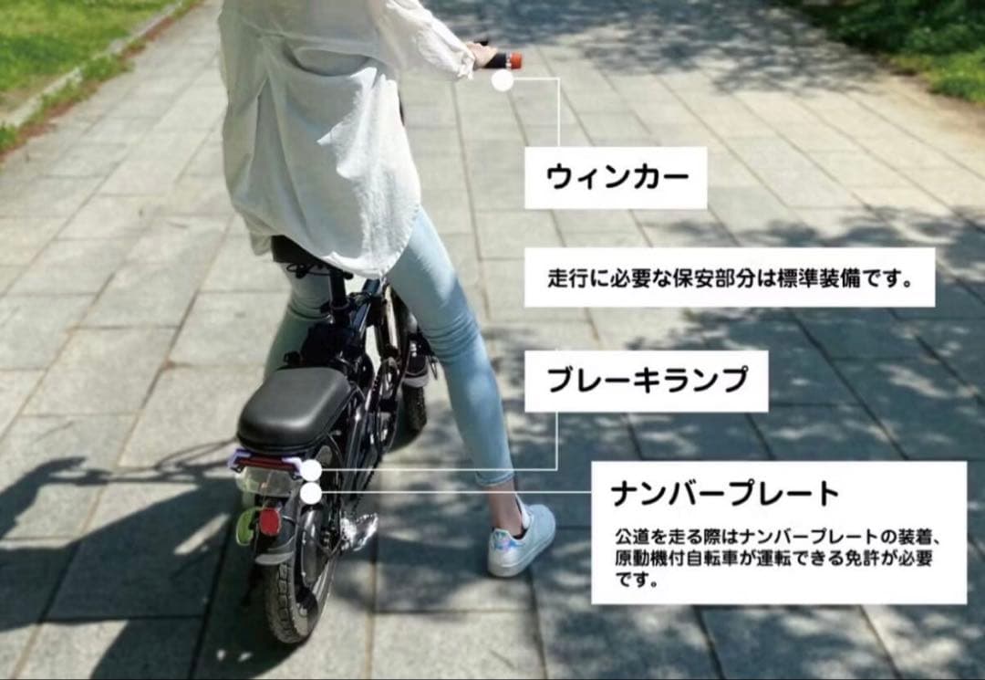 【所沢直線引取限定】Laccoon 電動アシスト自転車 10Ah、35Ah付き