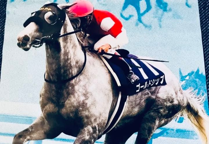 競馬　宝塚記念　ゴールドシップ　横山典弘　ポスター　JRA 非売品