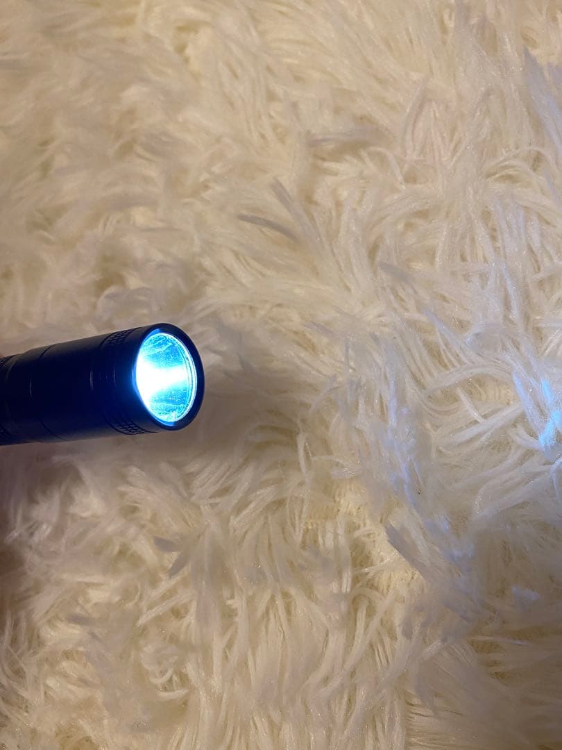 OLIGHT T10 超高輝度LED 懐中電灯 オーライト 新品