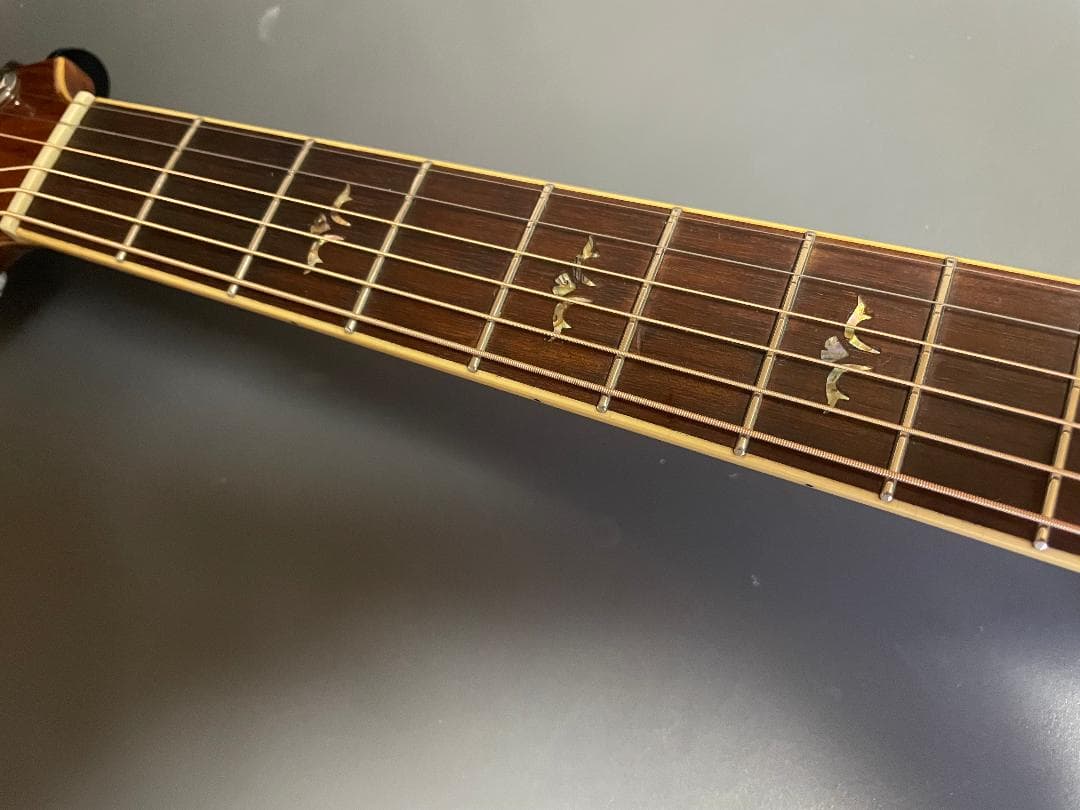 ギター Takamine Cooder TCP-560VB
