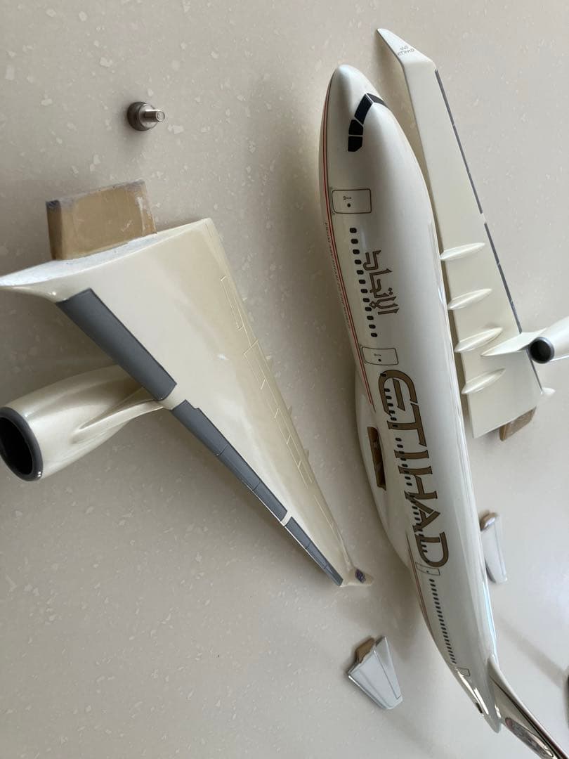 モデルプレーン(1/100) Etihad A330?