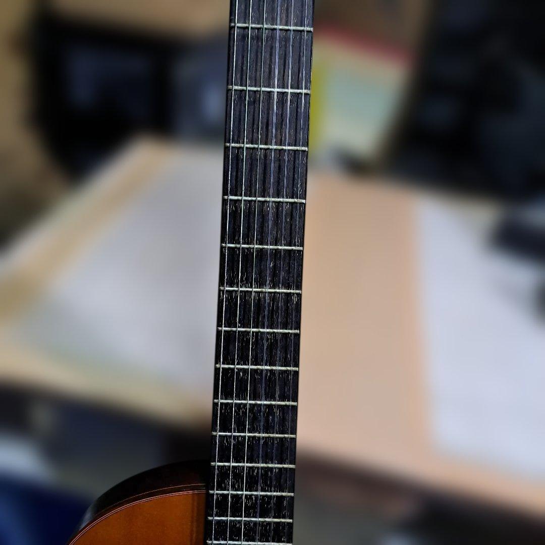 Morris PA-17G パワーアコースティックギター