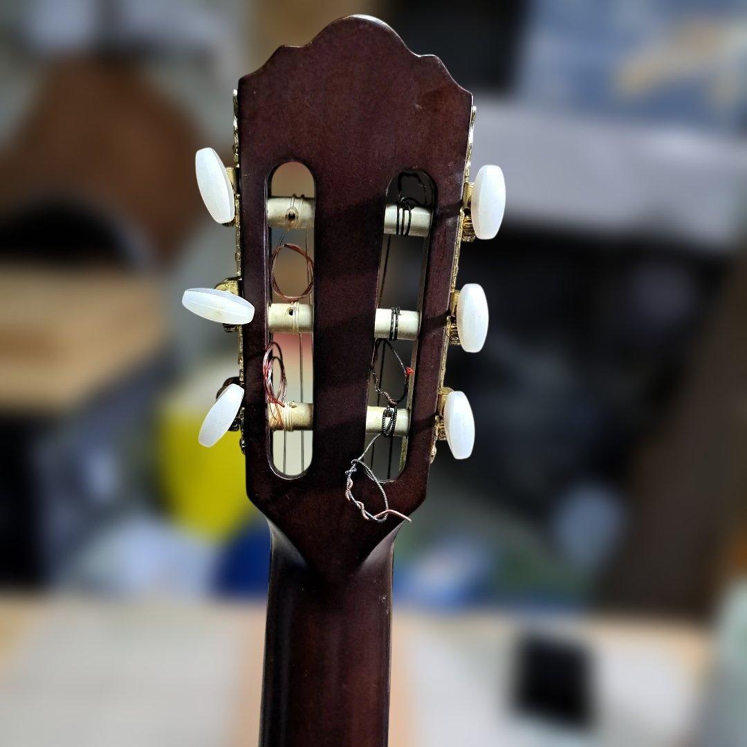 Morris PA-17G パワーアコースティックギター
