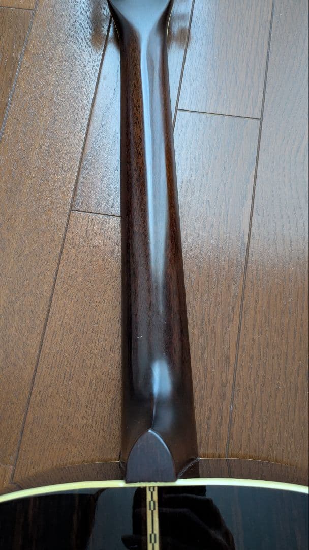 ギター Bluebell F-300
