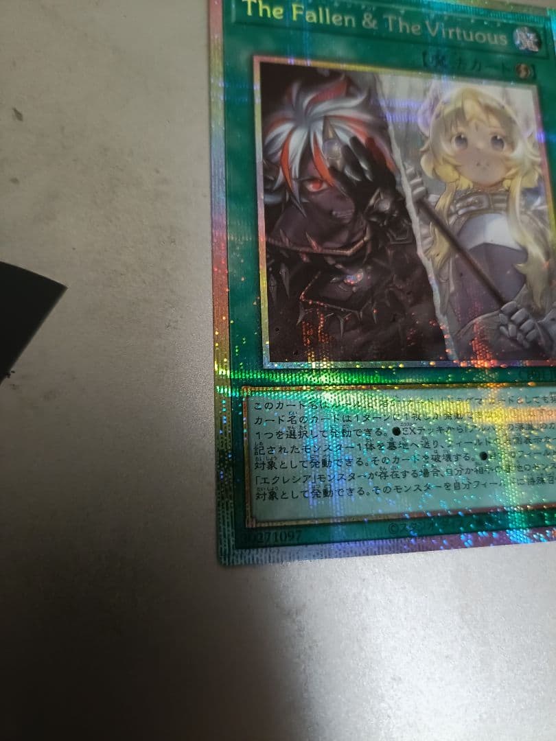 the fallen and the virtuous　プリシク