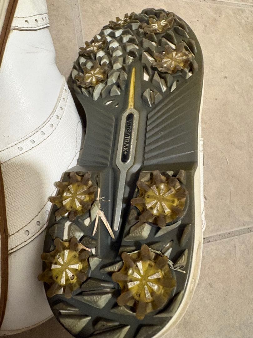 FootJoy フットジョイ ドライジョイズ プレミア ウィルコックス 25.5
