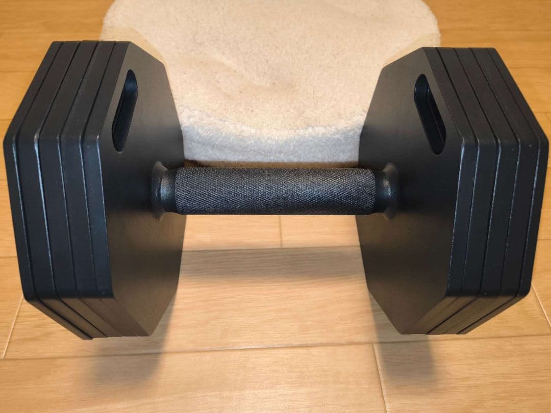 ブランドEisenlink　20kg×1(八角形ブラック)