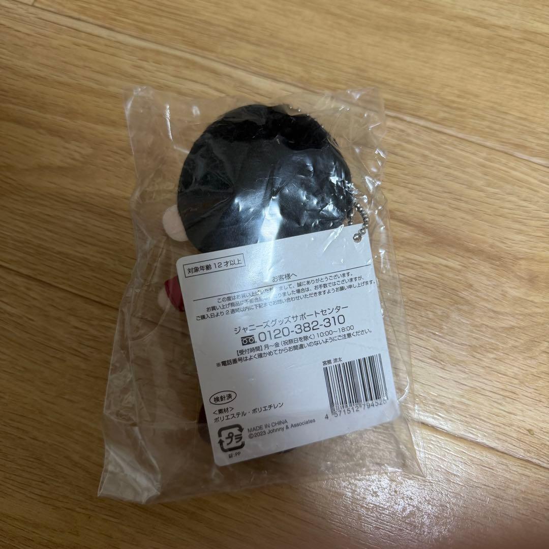 【即購入◎新品未使用】Man 宮舘涼太 すのチル　ぬいぐるみ チルぬい