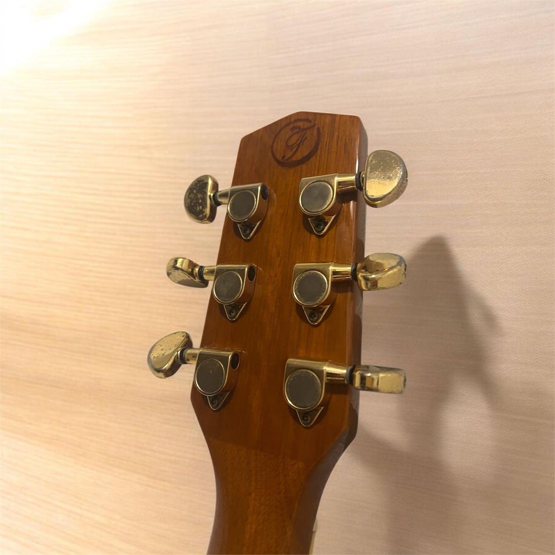 Fina アコースティックギターGuitar FAW-700/NT