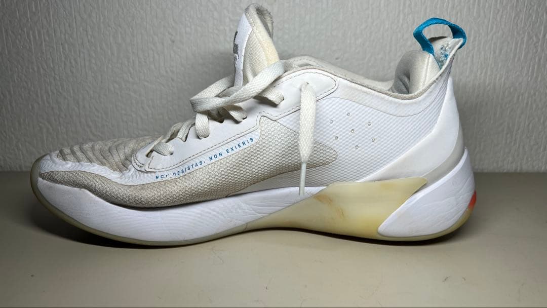 Jordan Luka 1 PF 29cm※値下げ可‼️