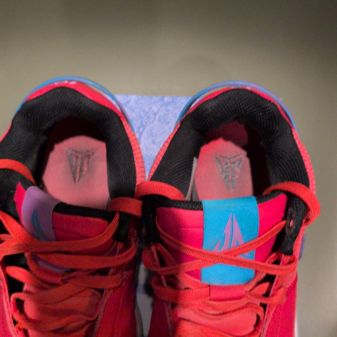 Nike JＡ 1 EP25.5