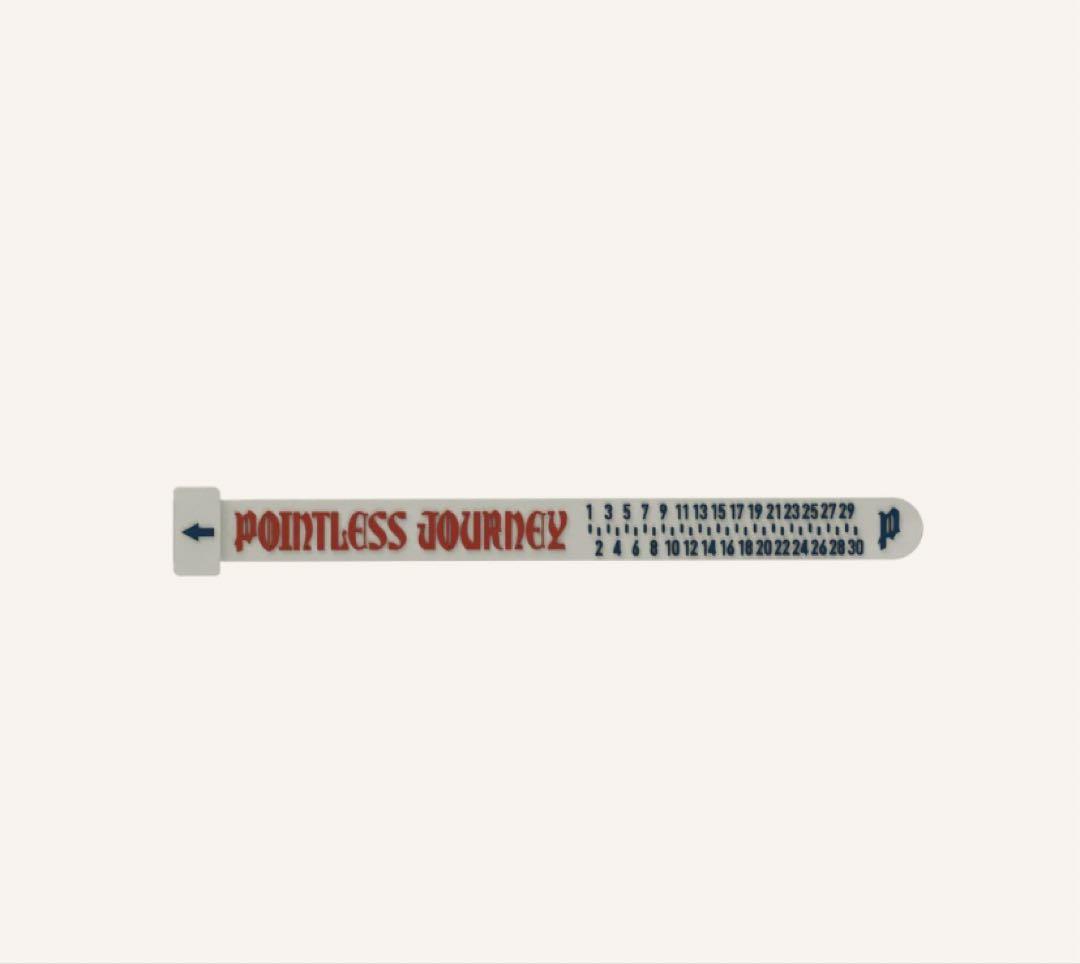 POINTLESS JOURNEY キーチェーン＆ラバーリング　セット