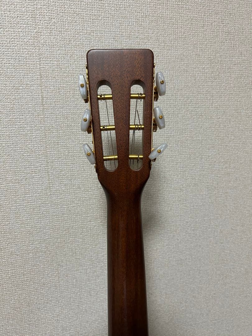 Takamine PT406 エレアコ