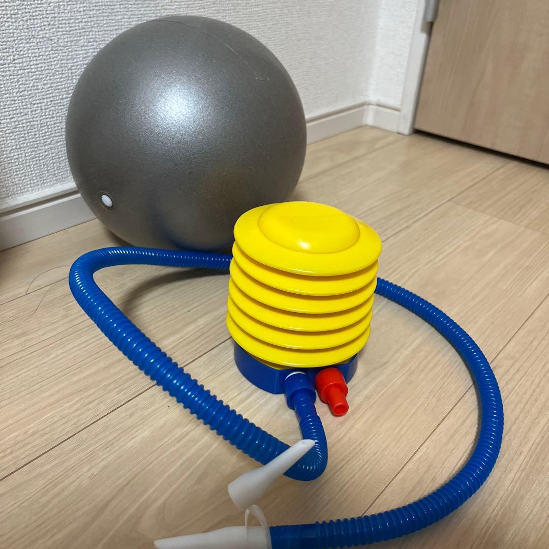 Land sup Crazy mini バランスボード　ランドサップ