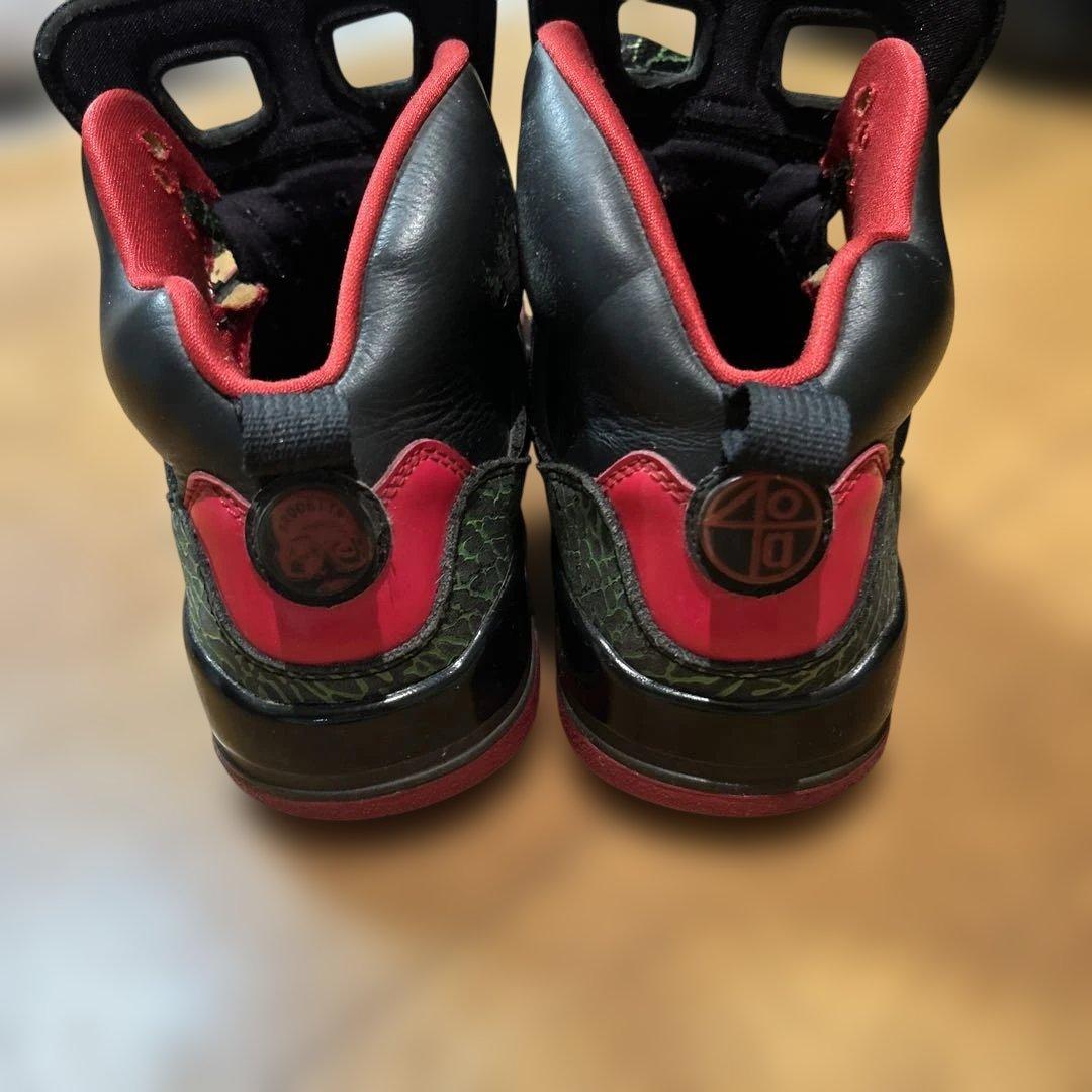 JORDAN スパイジーク　27.5cm