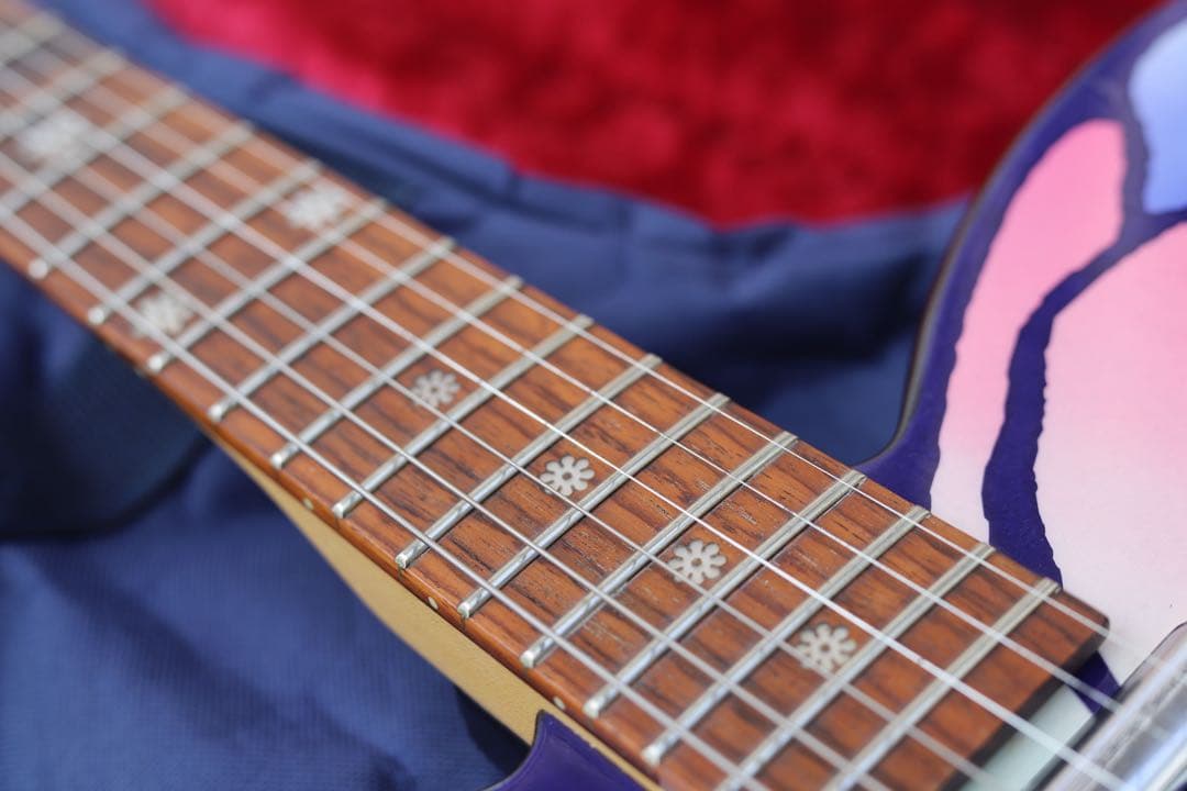 メンテ済 一部難有 DAISY ROCK Girl Guitars バタフライ