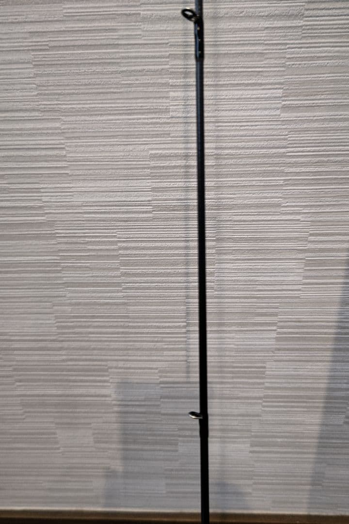 ダイワ エメラルダス X BT 65MLS-S (1.96m)