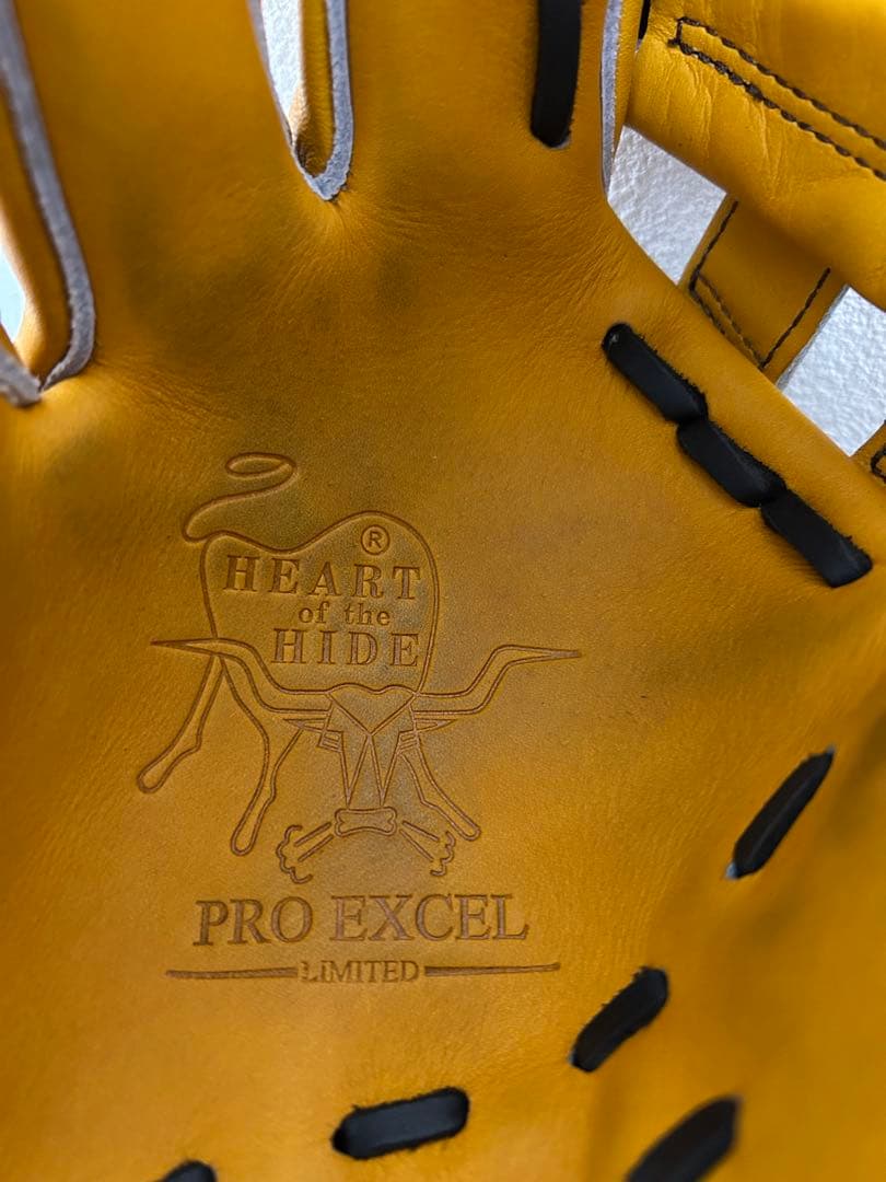 Rawlings wizard02 一般軟式　ゴールドタン