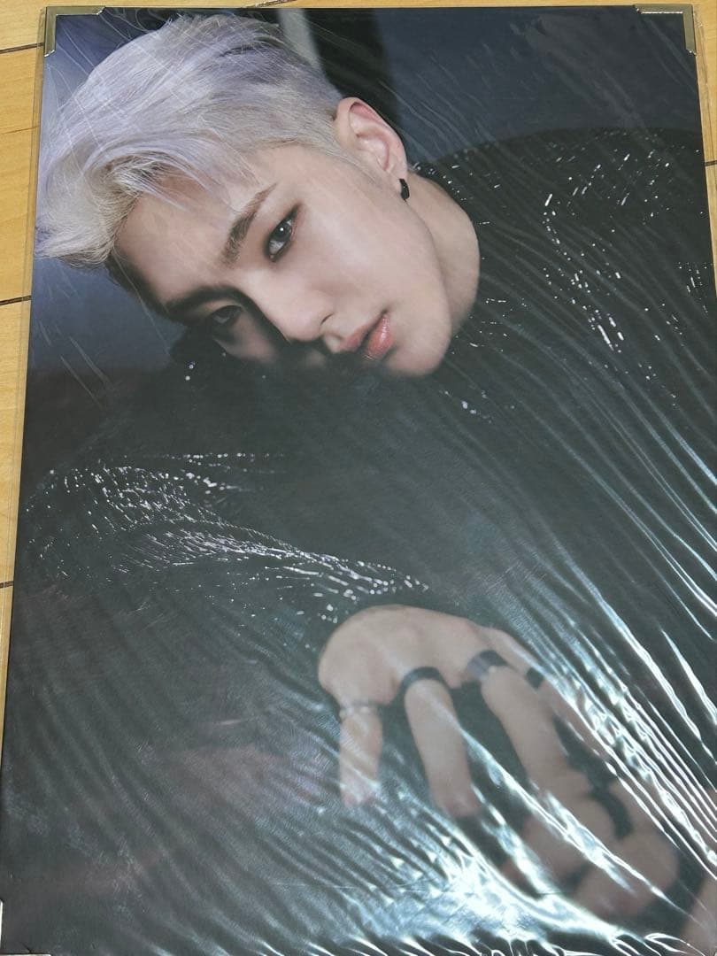 seventeen hoshi spider グッズ　premium photo