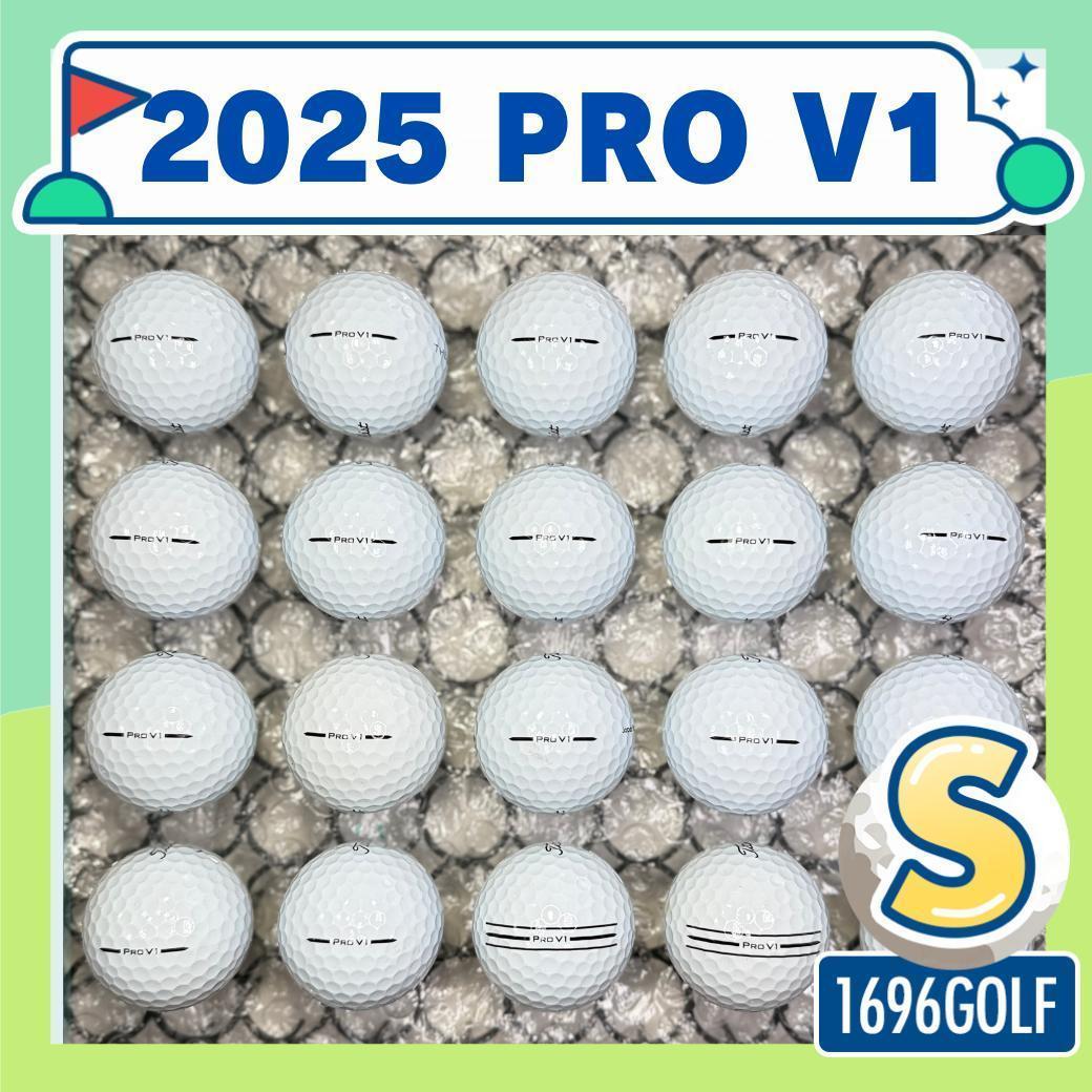 ロストボール タイトリスト PRO V1 S ランク 20球 2 おまけティ付
