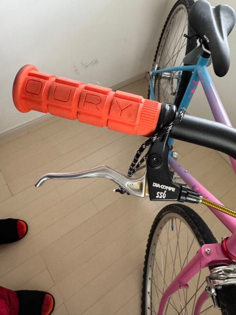 CRUST BIKES florida man フレームSサイズ