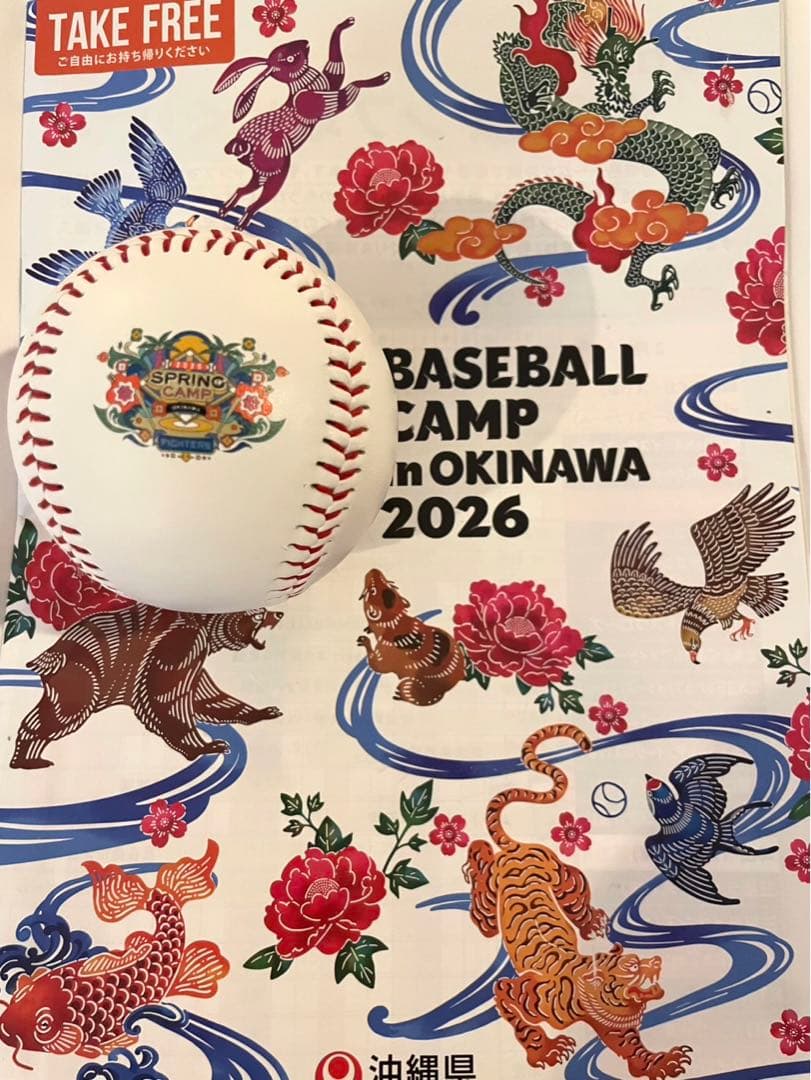 日本ハムファイターズ 郡司裕也 直筆サインボール 2026 沖縄キャンプ限定球