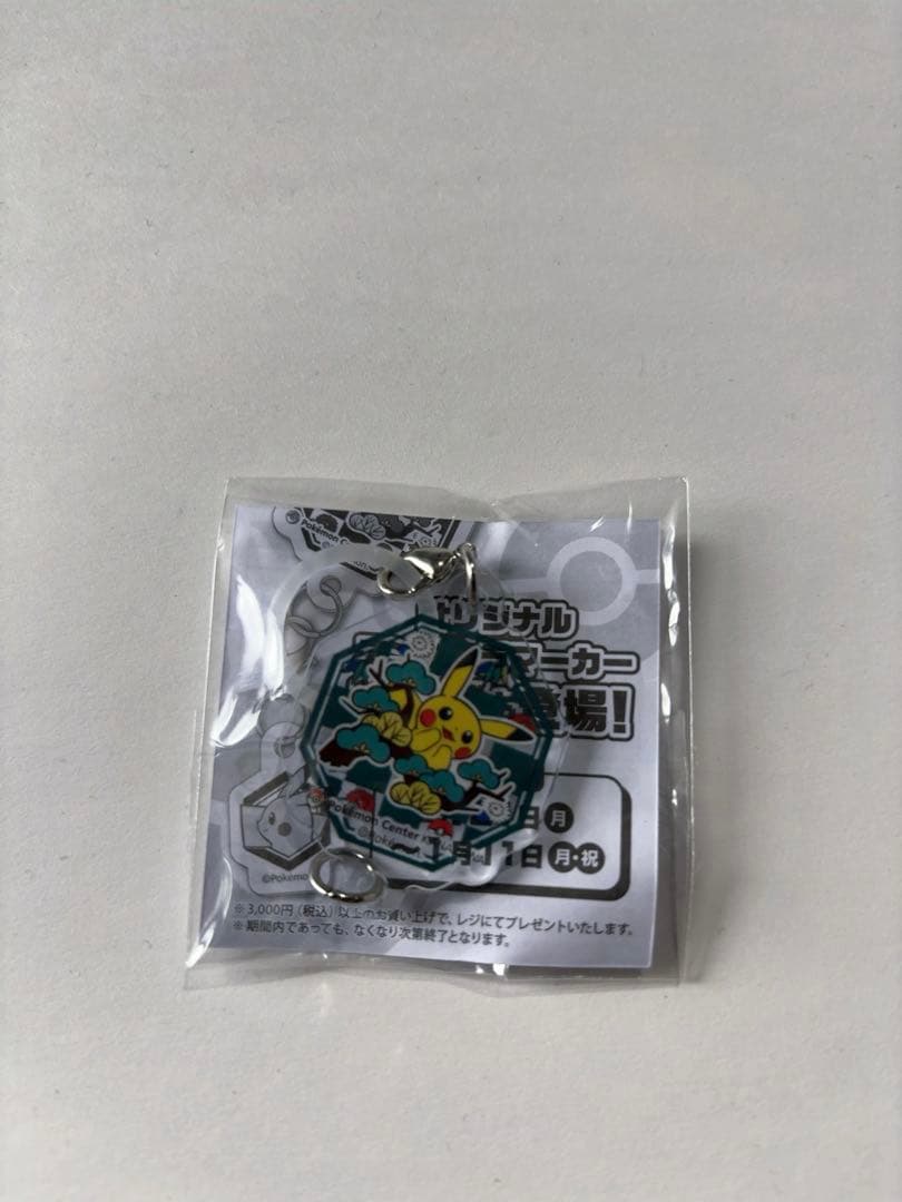 レックウザポンチョを着たピカチュウ チャームセット　傘マーカー付き