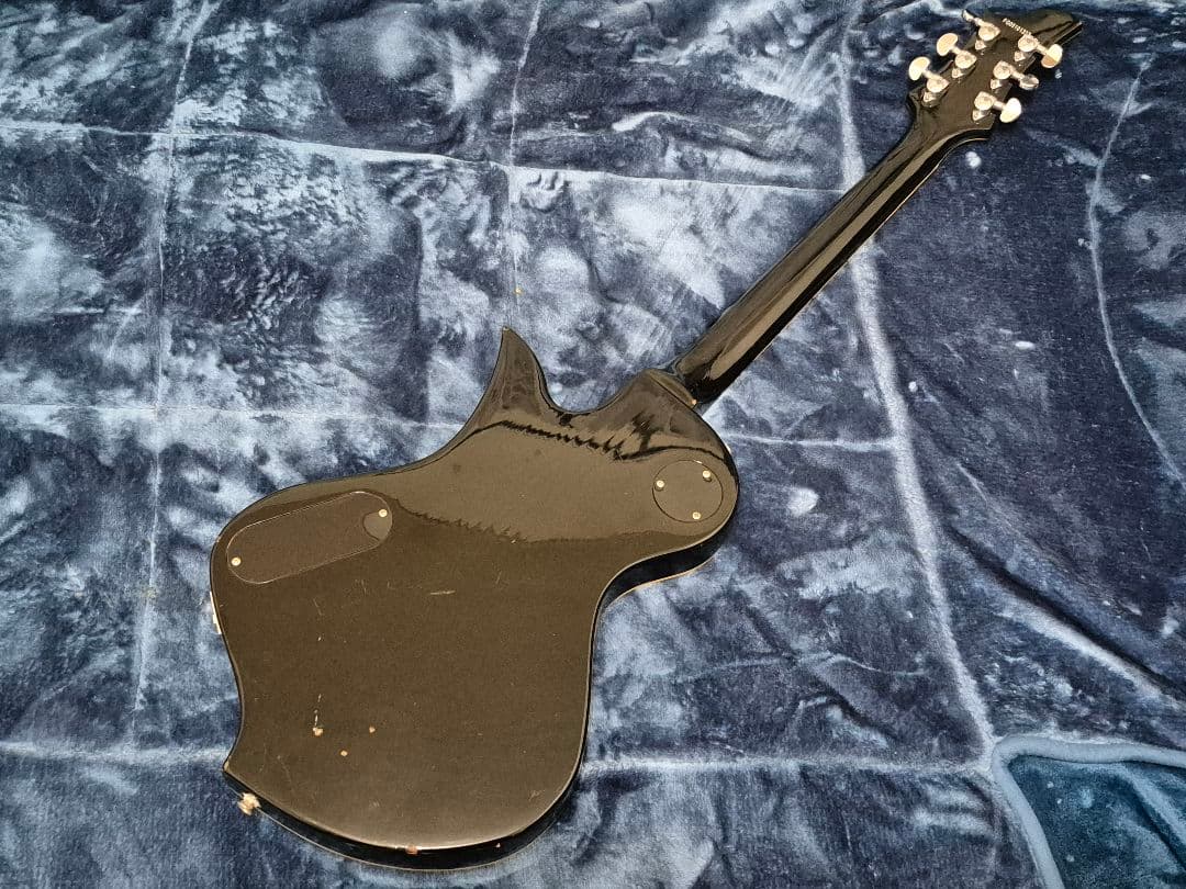 ギター FERNANDES RAVELLE
