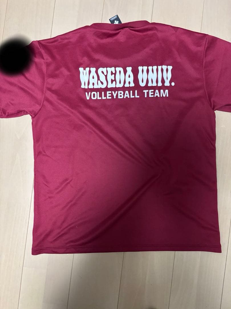 DESCENTE 早稲田大学バレーボール Tシャツ