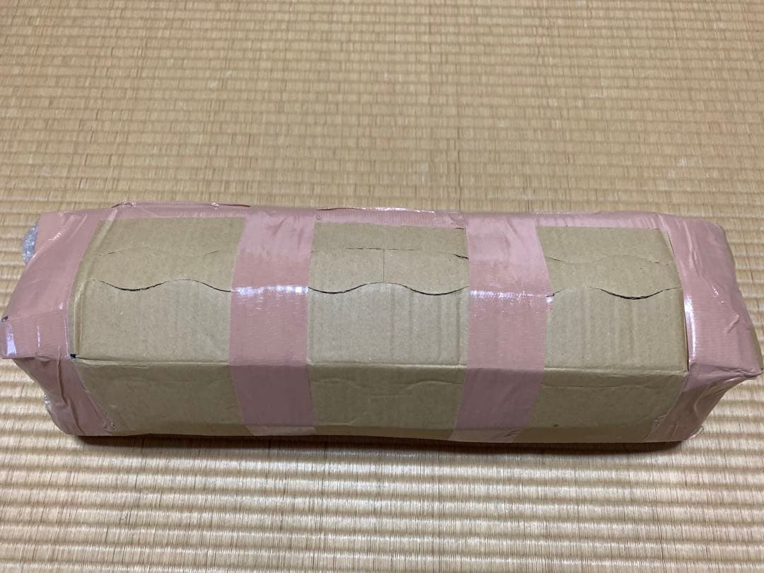 NEMO ニーモ オーロラリッジ 2P テント